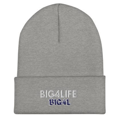 BIG4LIFE Cash Money Beanie | Black + Heather Gray
